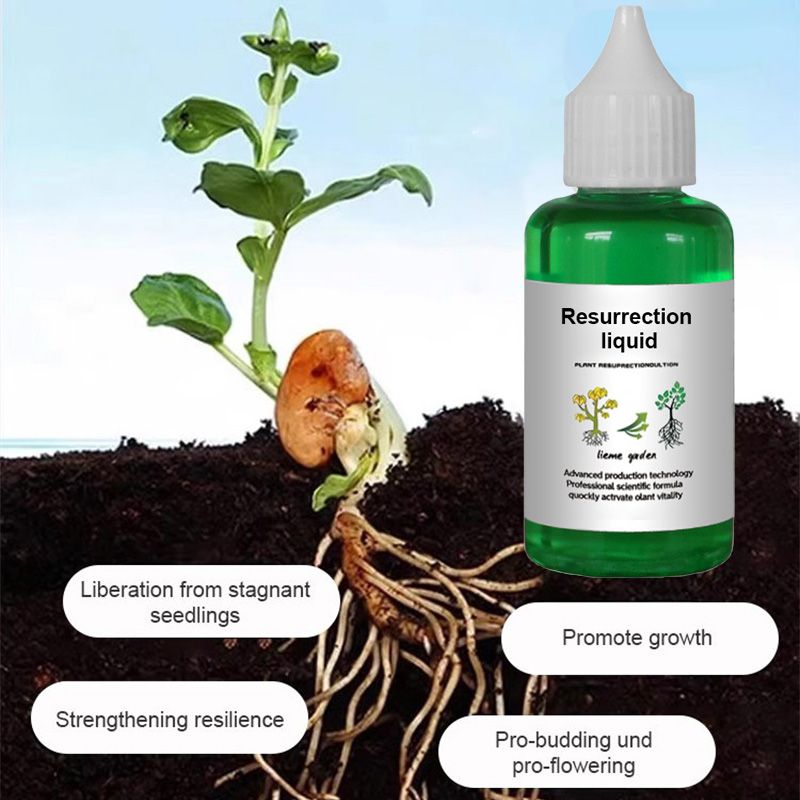 🎉 Specialerbjudande - Köp 1 få 3 🌿Botanisk återupplivningsvätska